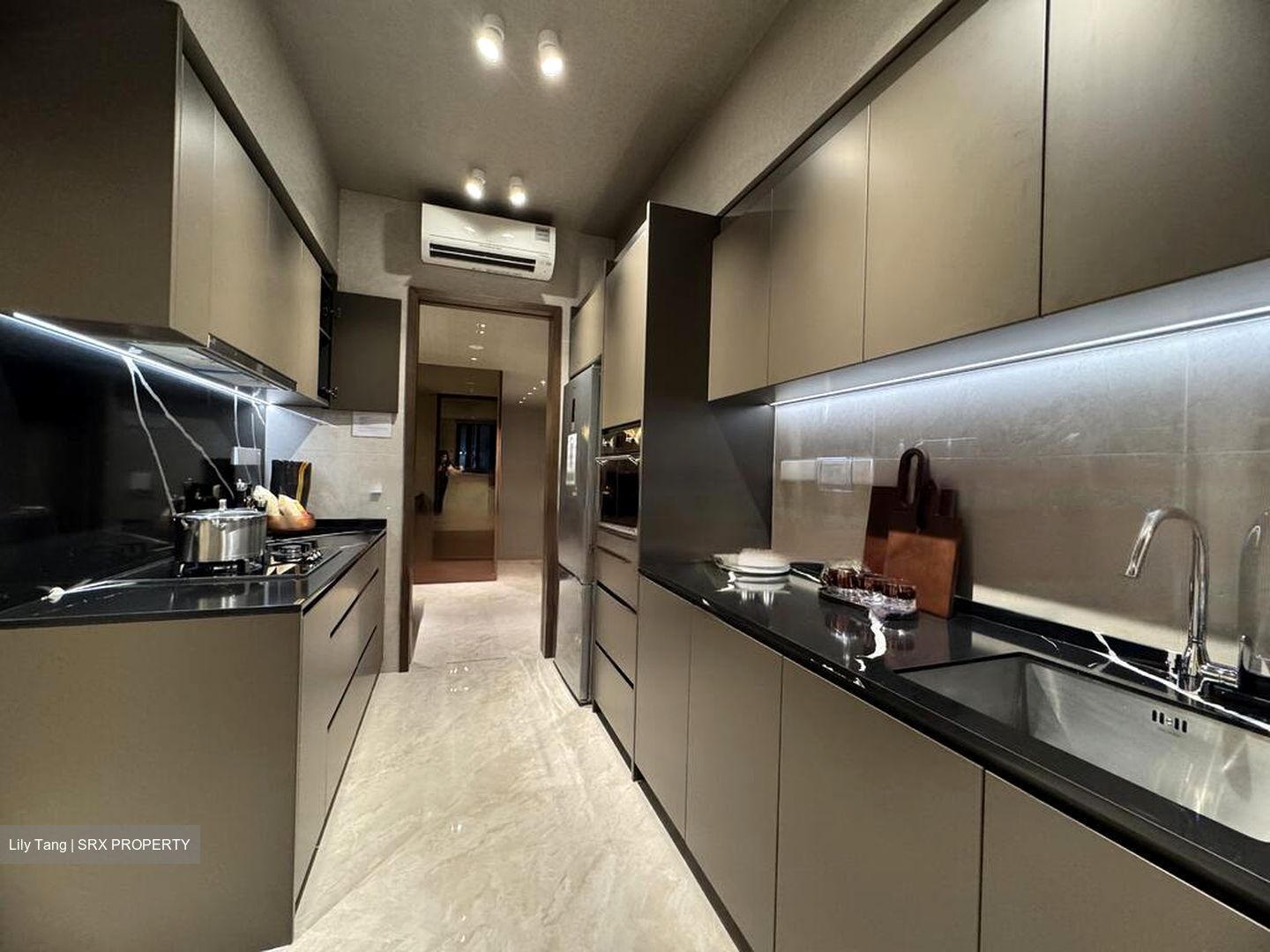 Marina Gardens Lane (D1), Apartment #463604881